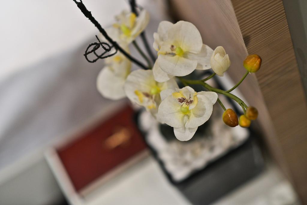 Garni Hotel Krevet&Dorucak Ниш Номер фото