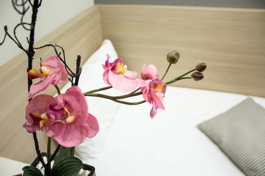 Garni Hotel Krevet&Dorucak Ниш Экстерьер фото